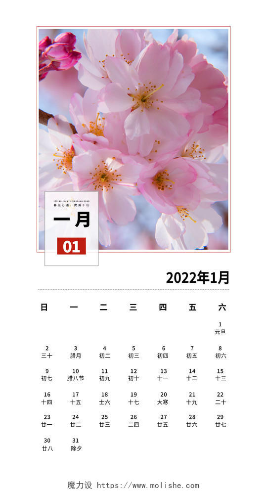 樱花简约清新大气2022日历海报设计